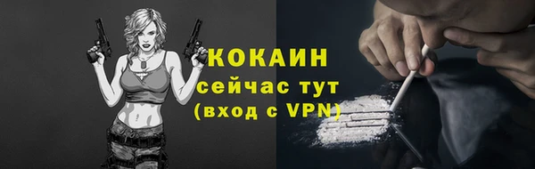 спиды Краснослободск