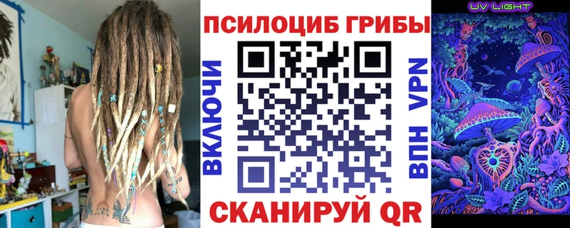 Галлюциногенные грибы мицелий ссылка на мегу как войти Фокино даркнет официальный сайт дарнет шоп